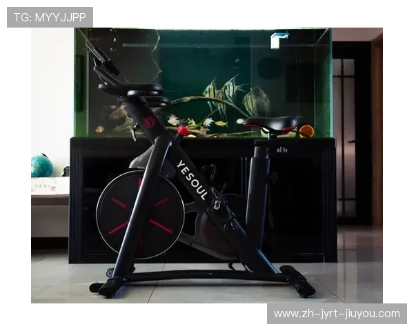 适合家庭使用的小型健身器材推荐